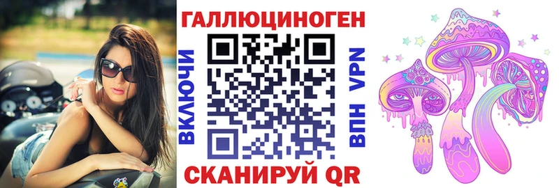 Купить где Белоозёрский Псилоцибиновые грибы GOLDEN TEACHER